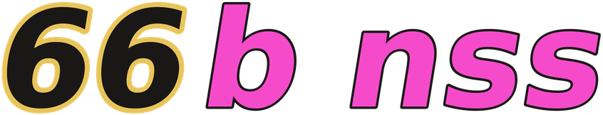 66b nss logo
